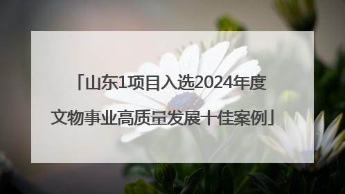 山东1项目入选2024年度文物事业高质量发展十佳案例